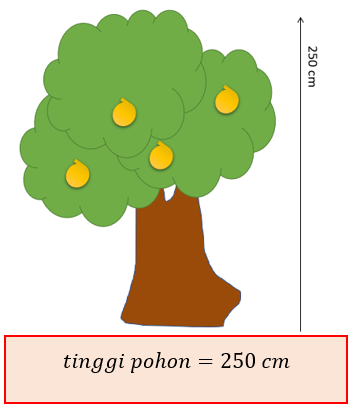 gambar pohon tinggi 250